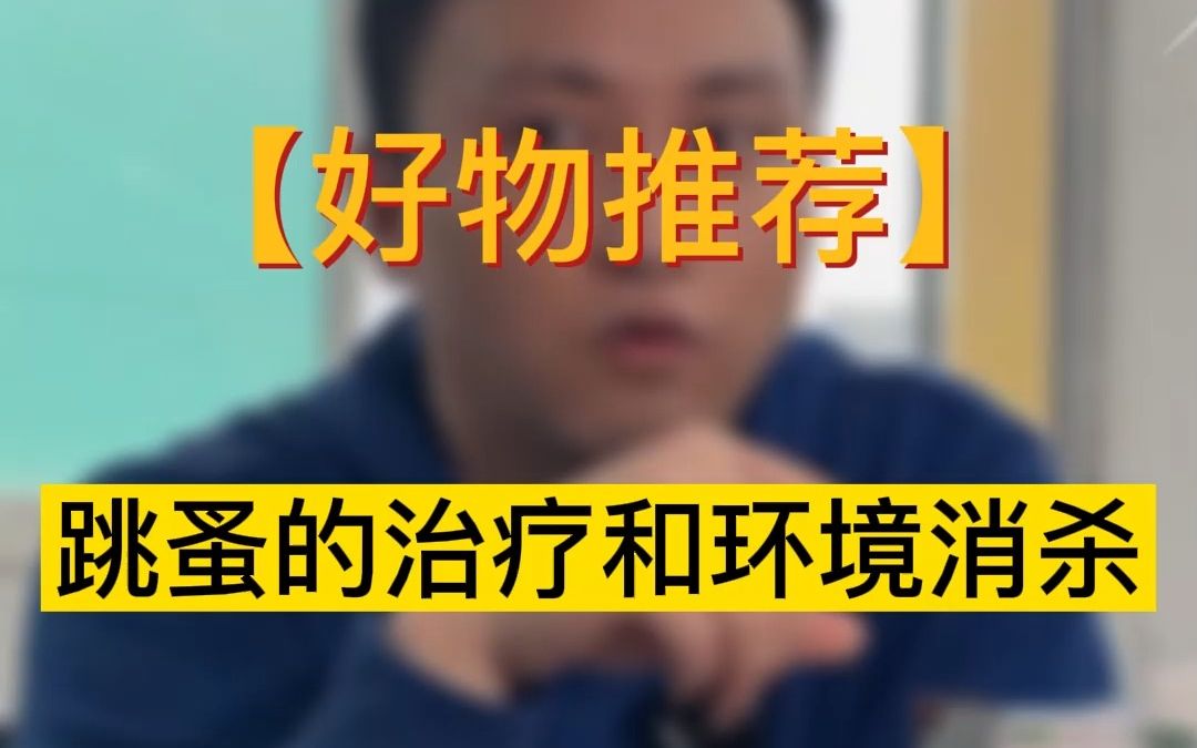 夏天被跳蚤咬了怎么办?推荐一些我自己的心得哔哩哔哩bilibili