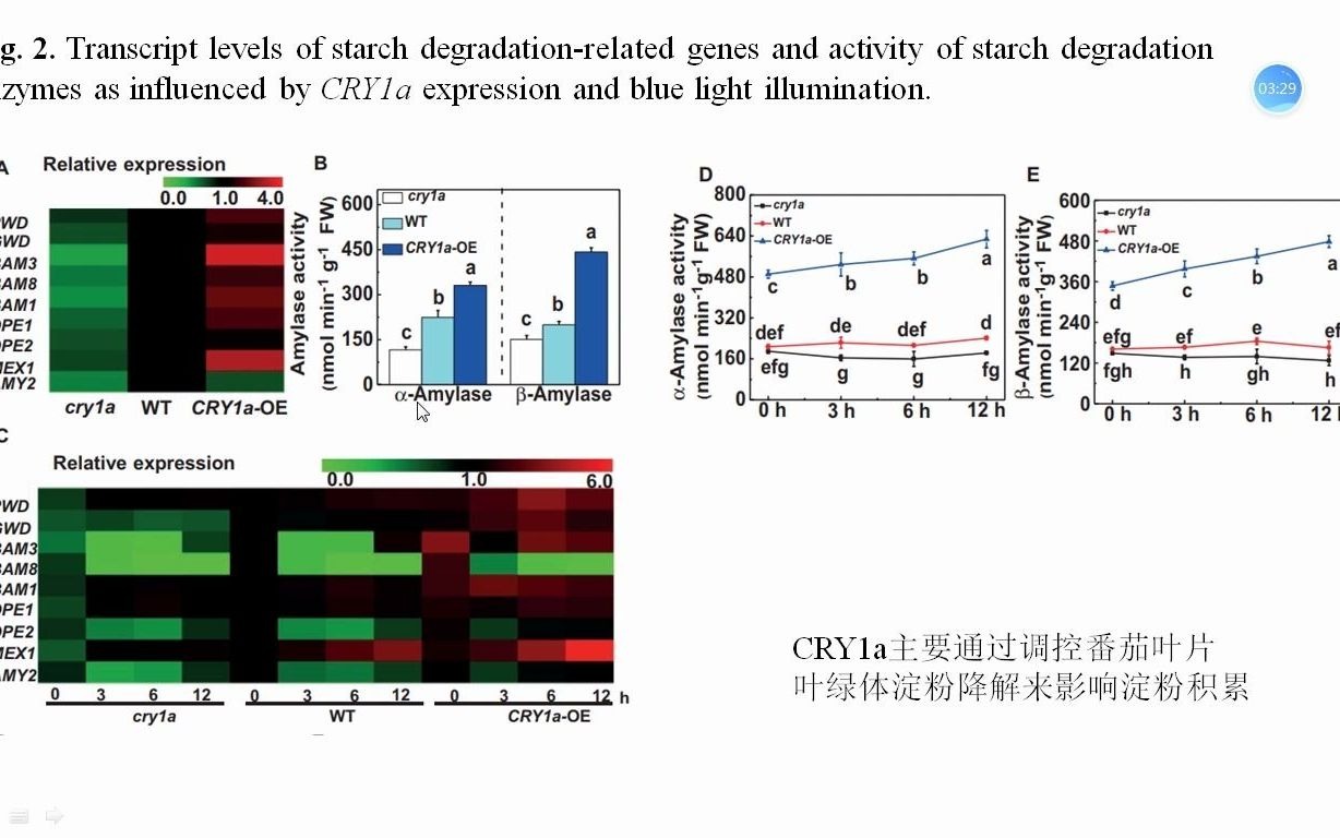 八分钟讲解Journal of Experimental Botany高分文章 HY5可以介导蓝光下番茄淀粉的降解哔哩哔哩bilibili