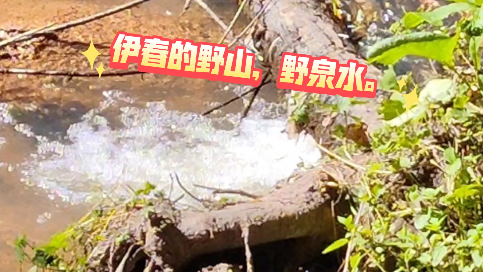 伊春市周边的野山野溪水什么样?哔哩哔哩bilibili