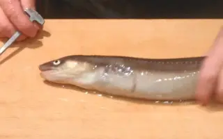 穴子 搜索结果 哔哩哔哩弹幕视频网 つロ乾杯 Bilibili