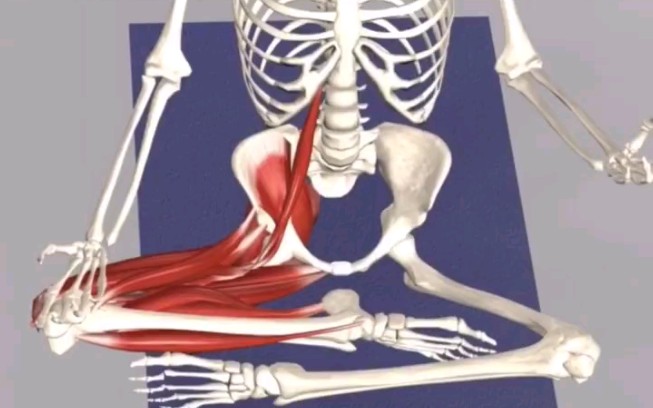 躺着盘腿的功效(躺着盘腿的好处:缓解压力,提高身体灵活性)