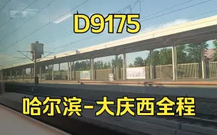 Download Video: 哈局临客智动 D9175 哈尔滨-大庆西全程 CR400BF-GZ-5214担当