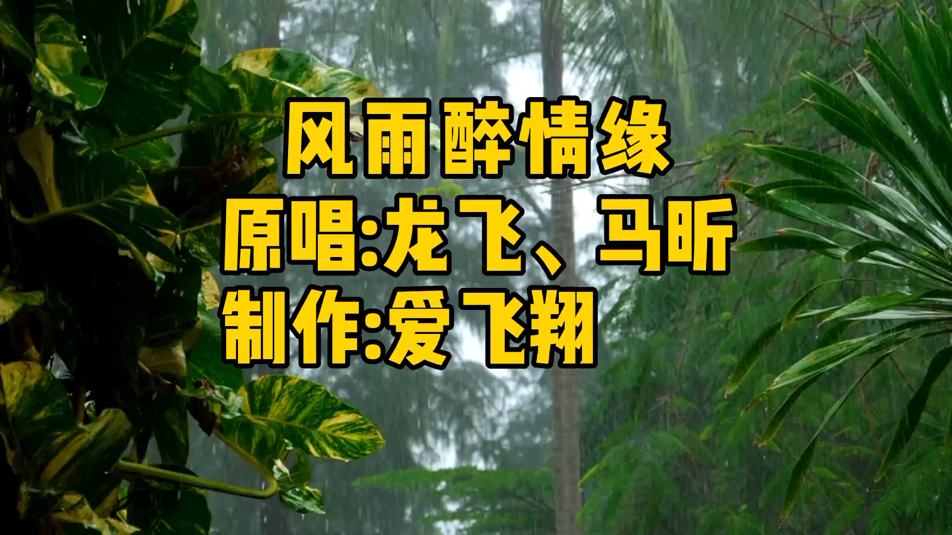 [图]龙飞、马昕一首《风雨醉情缘》经典怀旧老歌，好听极了