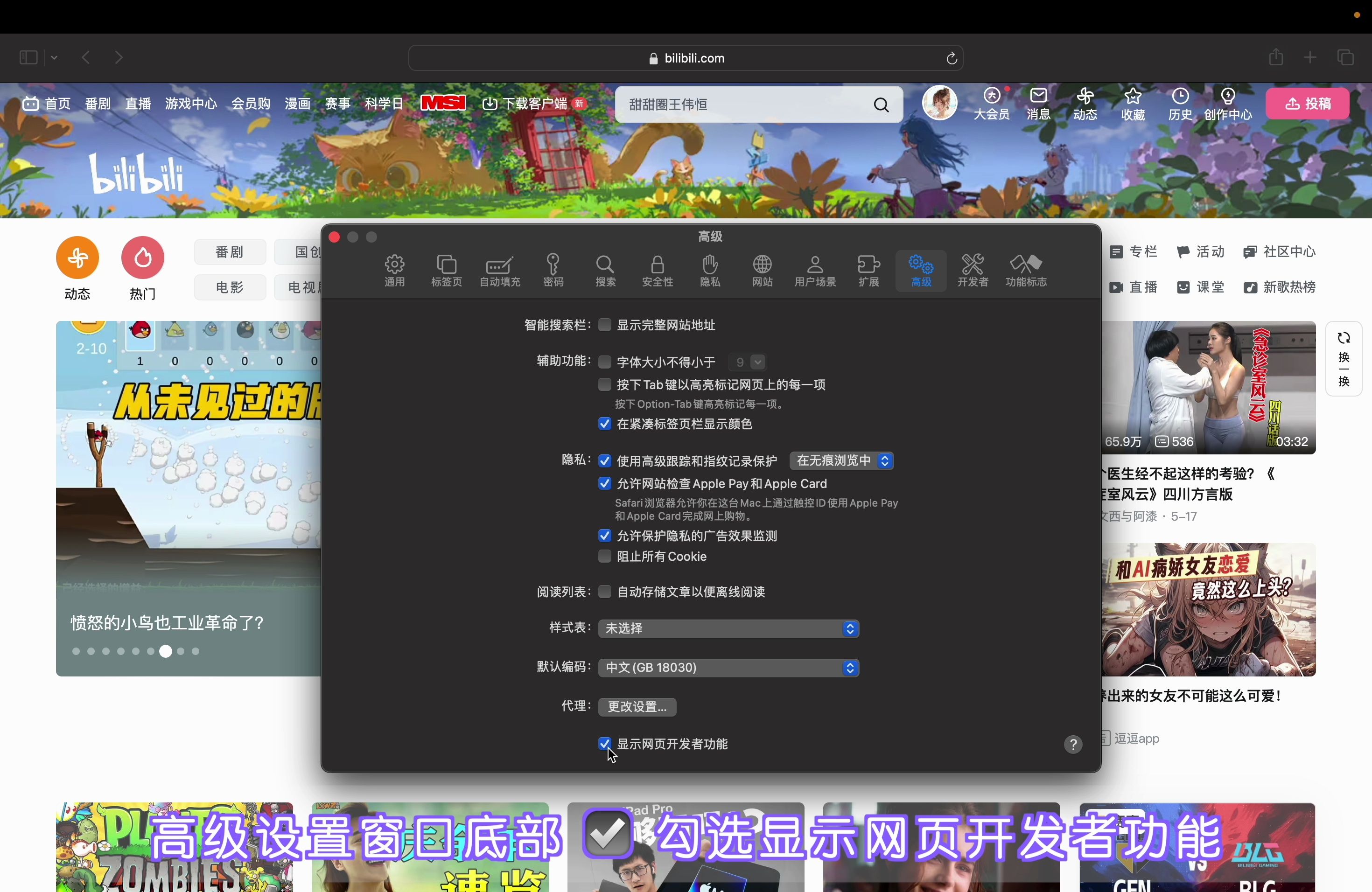 Mac上怎么开启safari网页开发模式