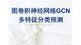GCN分类预测，图卷积神经网络GCN分类预测，多特征输入单输出模型。