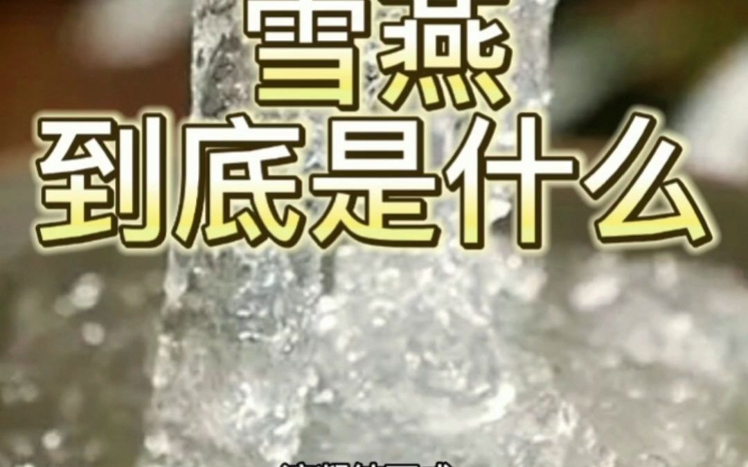 经常吃雪燕有什么好处?雪燕多少钱一斤?哔哩哔哩bilibili