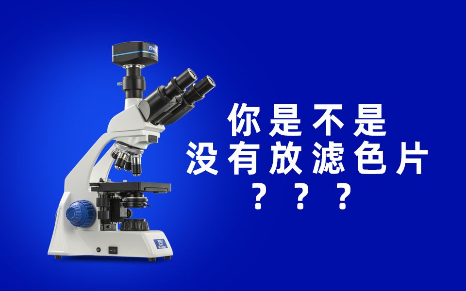 你的显微镜放滤色片了吗???哔哩哔哩bilibili