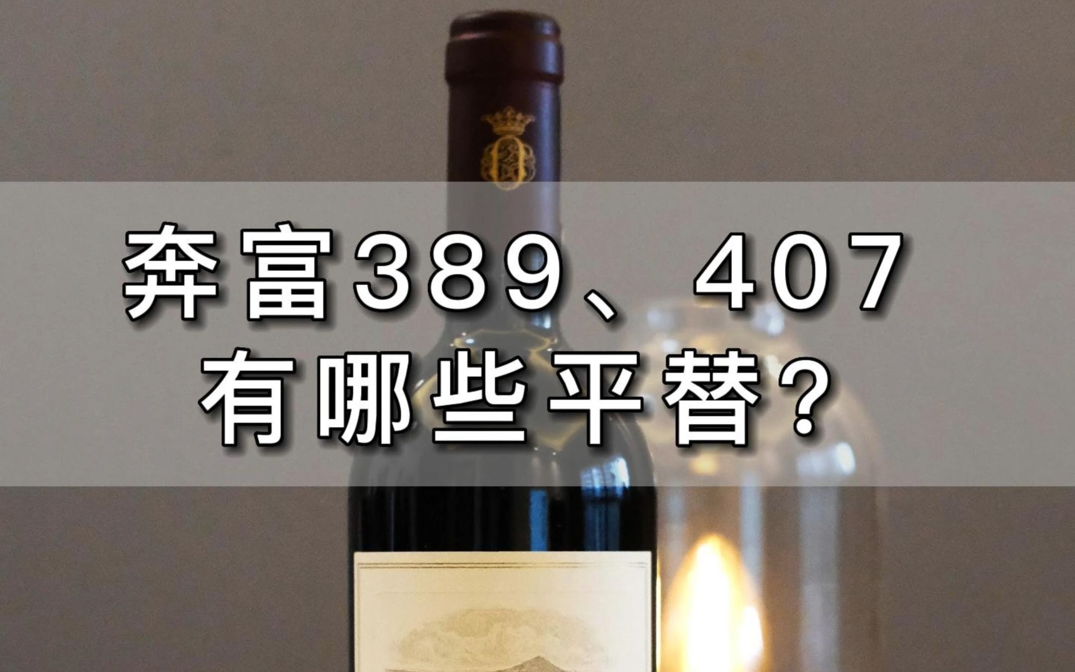 总有酒友问我,有什么跟奔富407差不多的酒推荐?哔哩哔哩bilibili