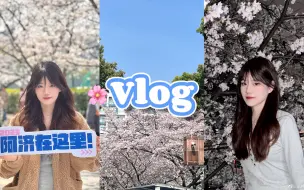 Download Video: 同济VLOG | 樱花和你我都喜欢🌸春天约会记录 逛公园 拍写真 云赏樱