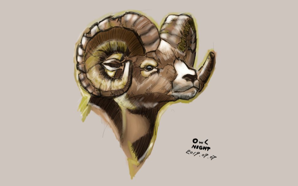 【板绘】手绘大角羊.的头