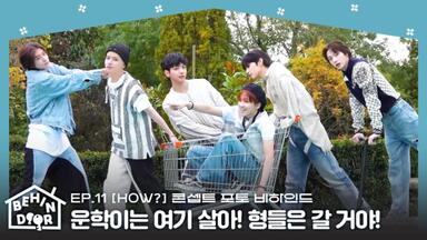 boynextdoor 中華 北京 一直娱 withfans 6枚セット boynextdoor