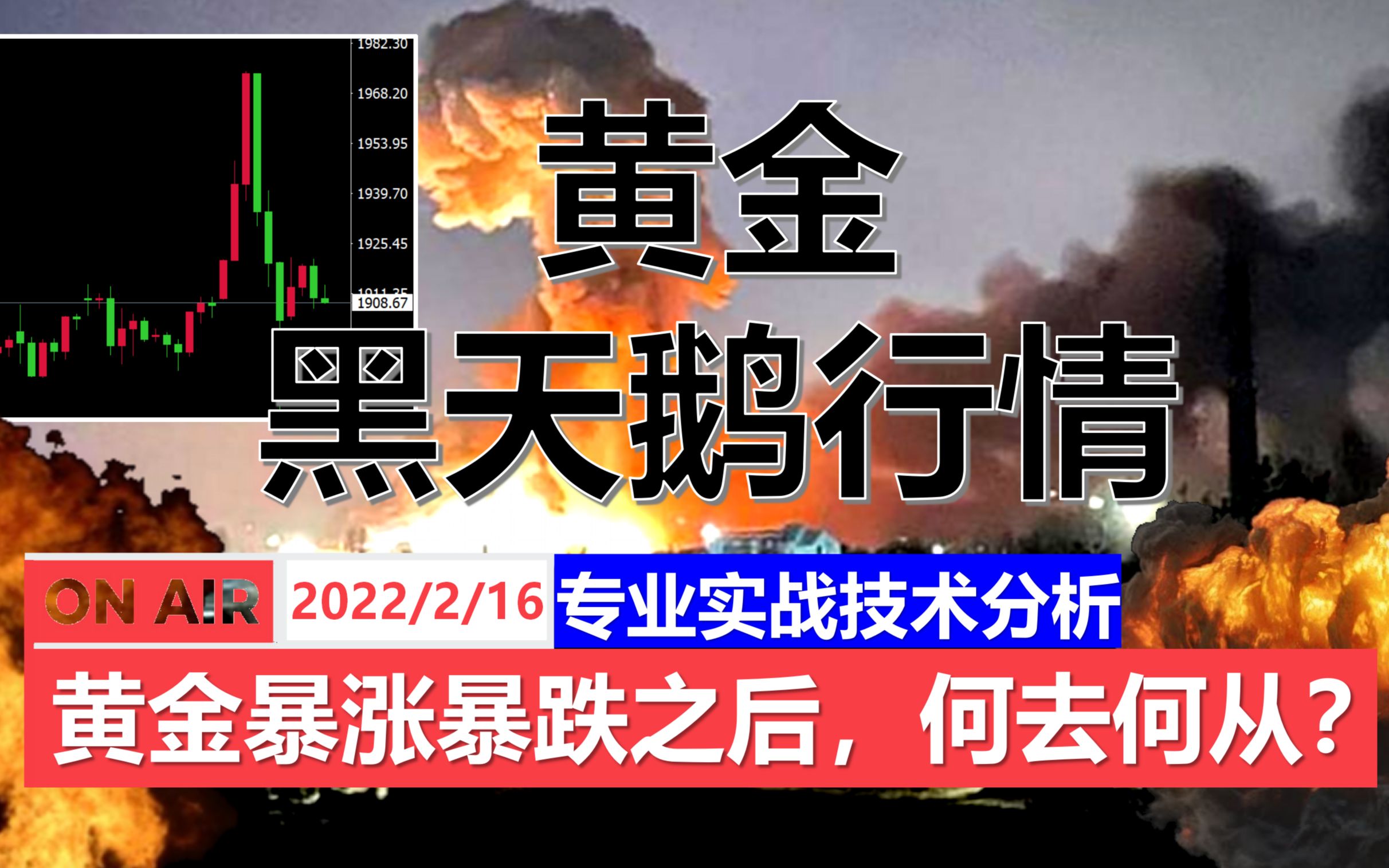 黄金黑天鹅行情你的单子还好吗暴涨暴跌之后黄金何去何从