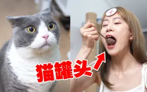 Télécharger la video: 我的猫偷吃我东西！于是我也吃了它的