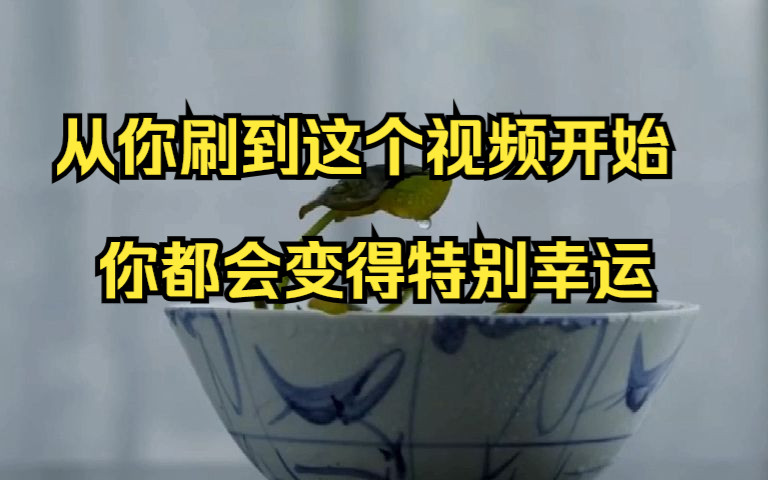 [图]大数据不会乱推荐人，当你看到这个视频，说明你大运已到，你离上岸只差一个愿望，留下你的愿望吧