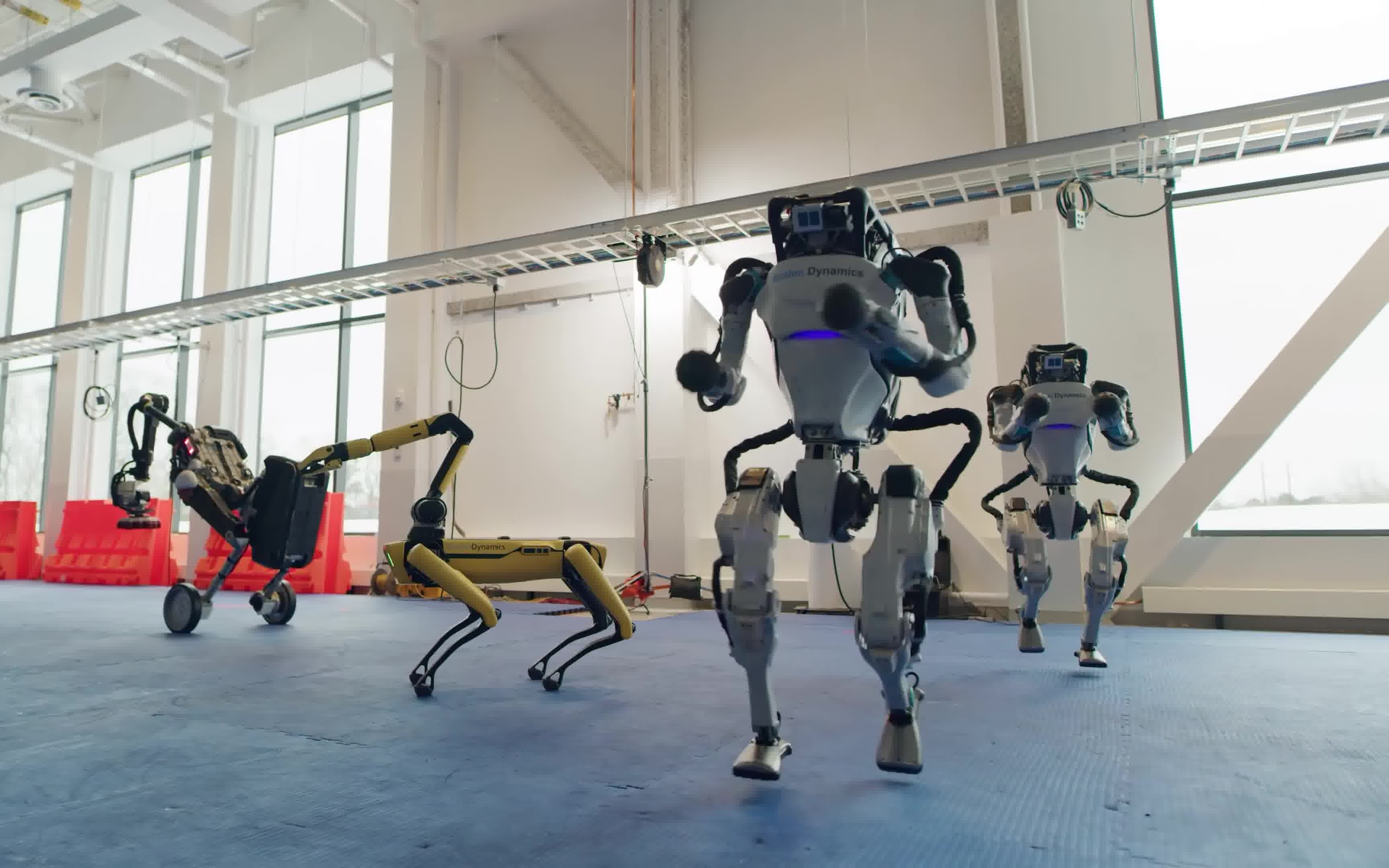 波士顿动力全体机器人跳舞欢度2021年(do you love me)