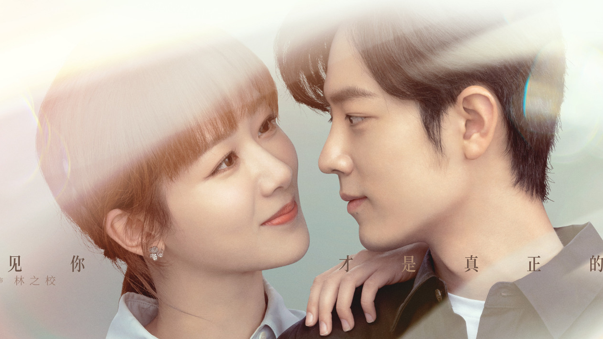 《余生请指教》顾魏的隐藏式试探太绝了!蚂蚁都看出眼中的爱意