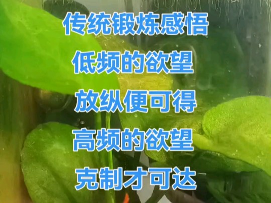 传统锻炼感悟分享哔哩哔哩bilibili