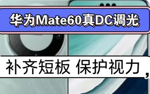 Download Video: 华为Mate60是瞎眼屏？开启真DC调光教程！无需root和电脑，补齐短板，保护视力！