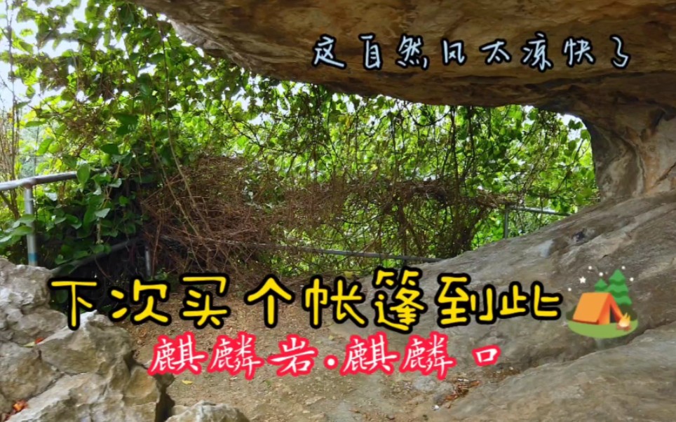 广西宾阳大桥镇麒麟岩半山,一个谈情说爱乘凉纳爽的好地方,大桥石壁景区哔哩哔哩bilibili