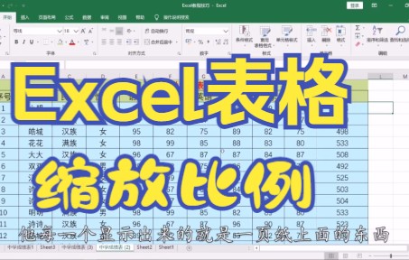 【Excel技巧】教你学会灵活调整Excel表格缩放比例,保证打印的完整性和美观性哔哩哔哩bilibili