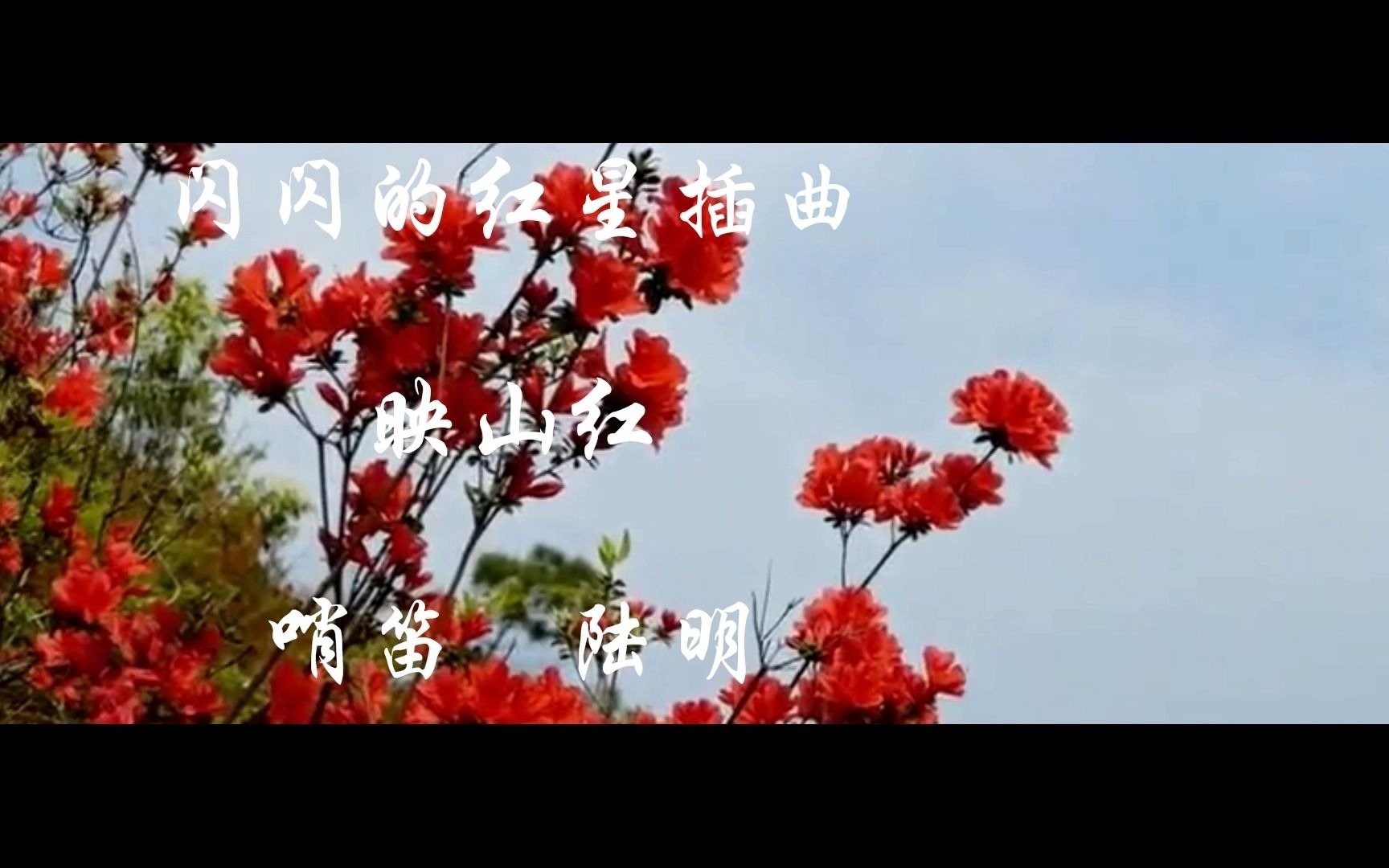 映山红--闪闪的红星--插曲