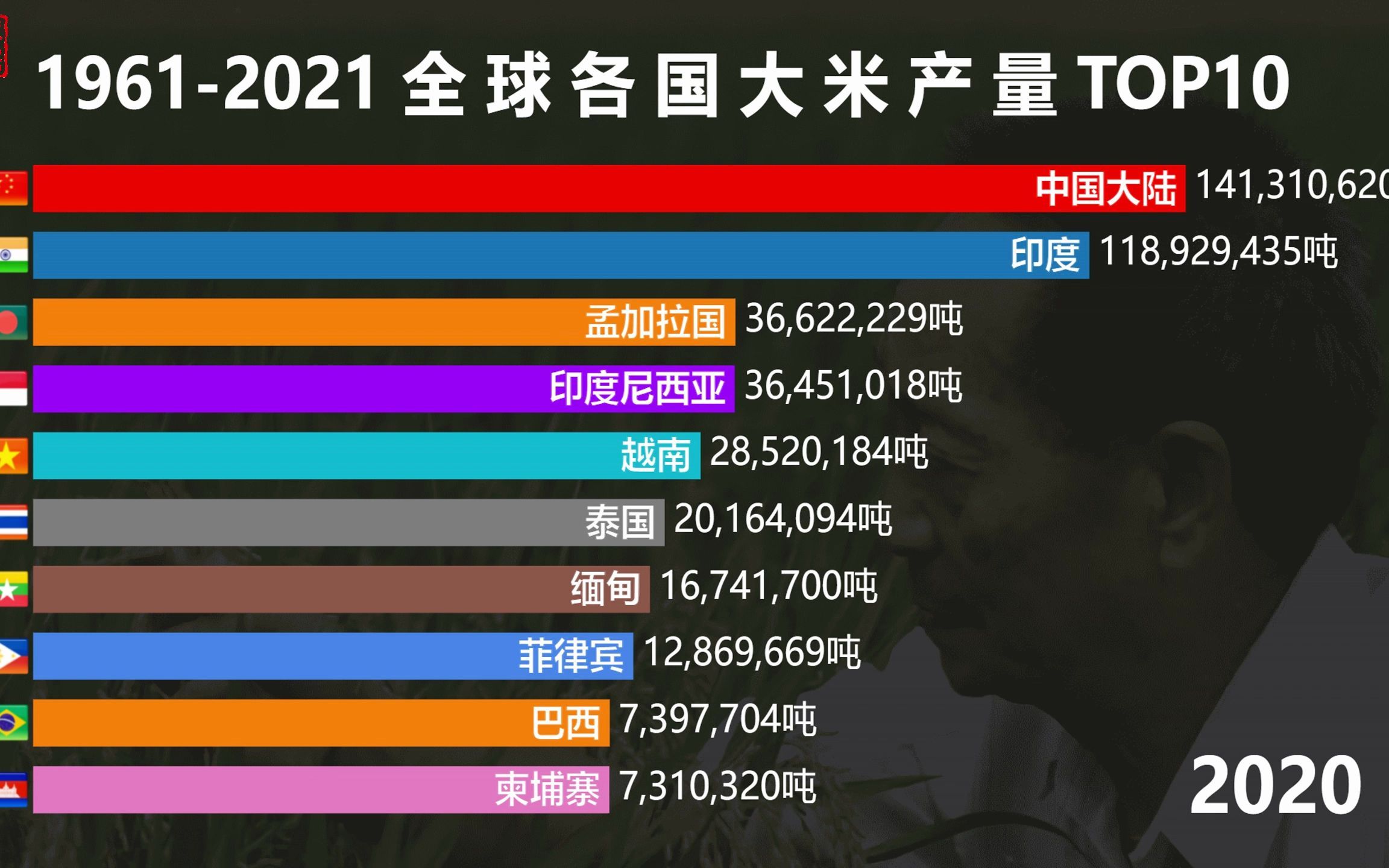 19612021年全球各国大米产量top10吃水不忘挖井人感谢袁隆平