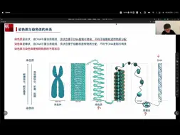 Tải video: 不想多说，张鹏牛逼！在盗版网站听了李林和张鹏的课，张鹏老师真的好厉害，果断去报名了25届的，我生物30分，真的有救了，家人们，鹏哥真的好厉害。