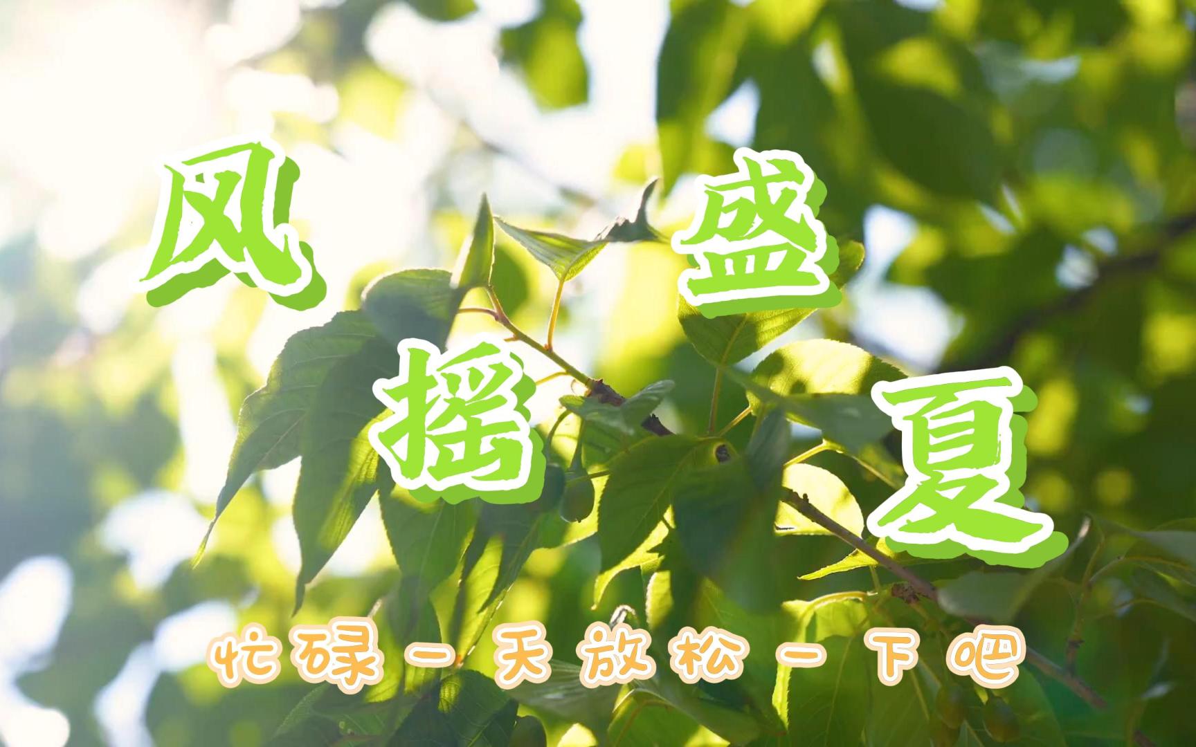 [图]【风摇盛夏】夏天已过夏景犹在，来放松一下紧张的心情吧