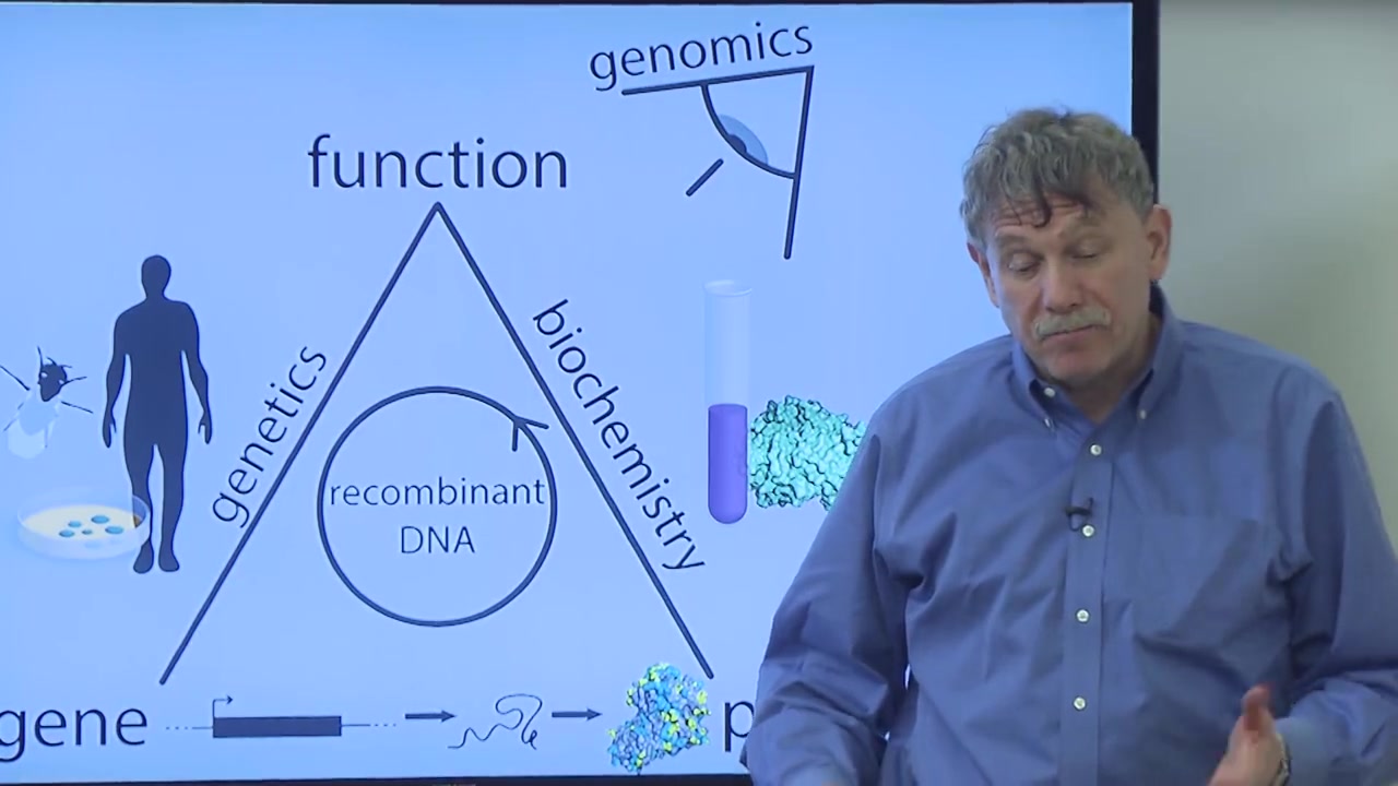 [图]（全集/外挂英字）MIT生物课程biology The Secret of Life生命的秘密（第一部分生物化学&基因学，共三部分）