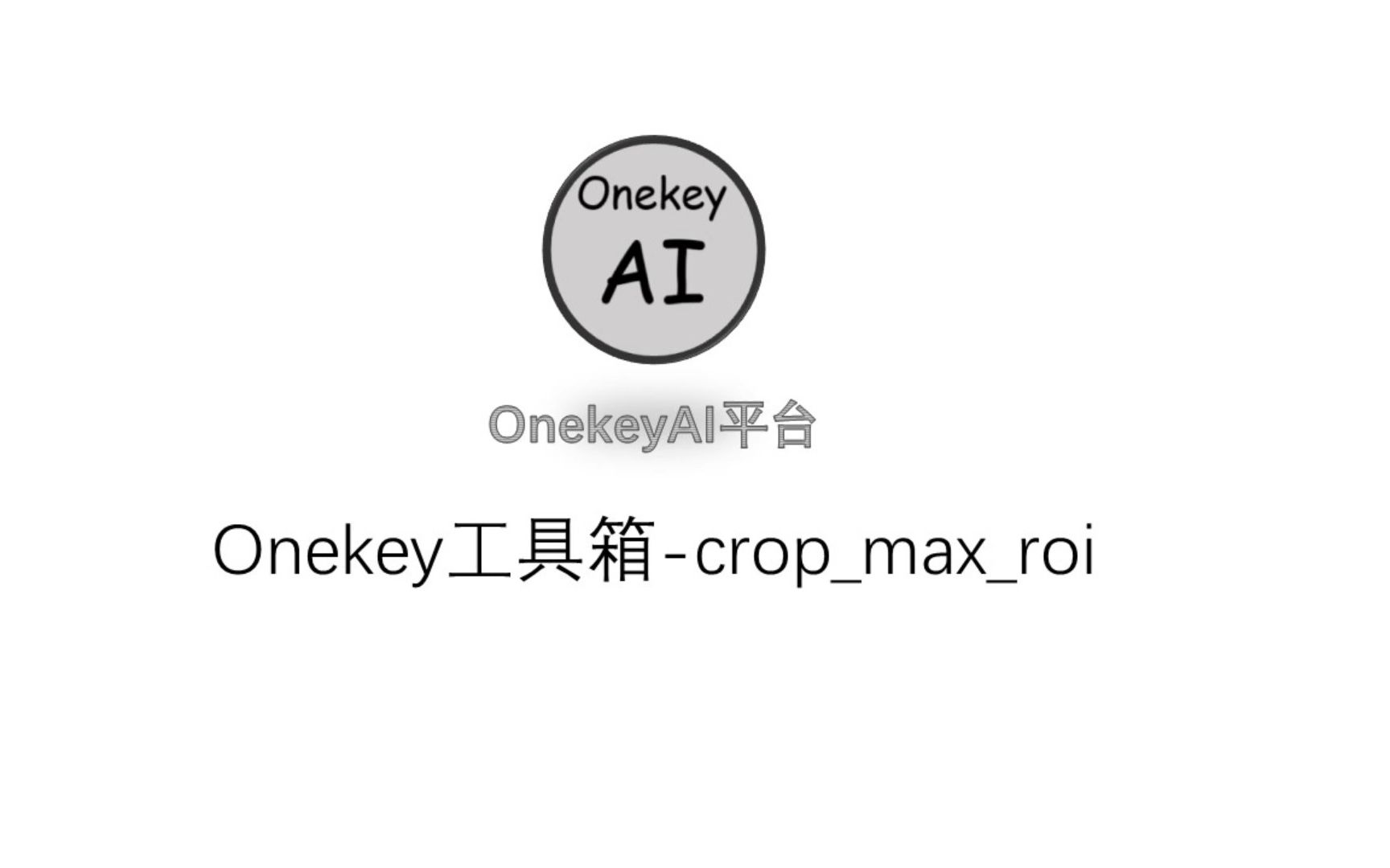 Onekey平台简介OKTcropmaxroi,裁剪3D区域,复用3D深度学习模型.哔哩哔哩bilibili