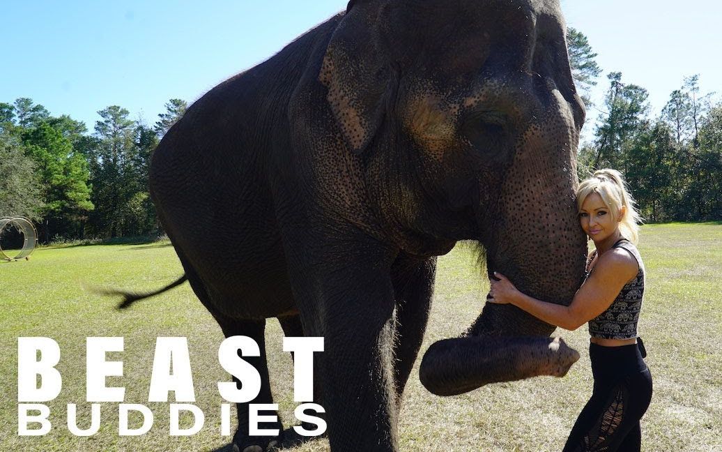 [图]【动物 | 英语】我最好的朋友是一头大象 | 野兽朋友 My Best Friend Is An Elephant | BEAST BUDDIES