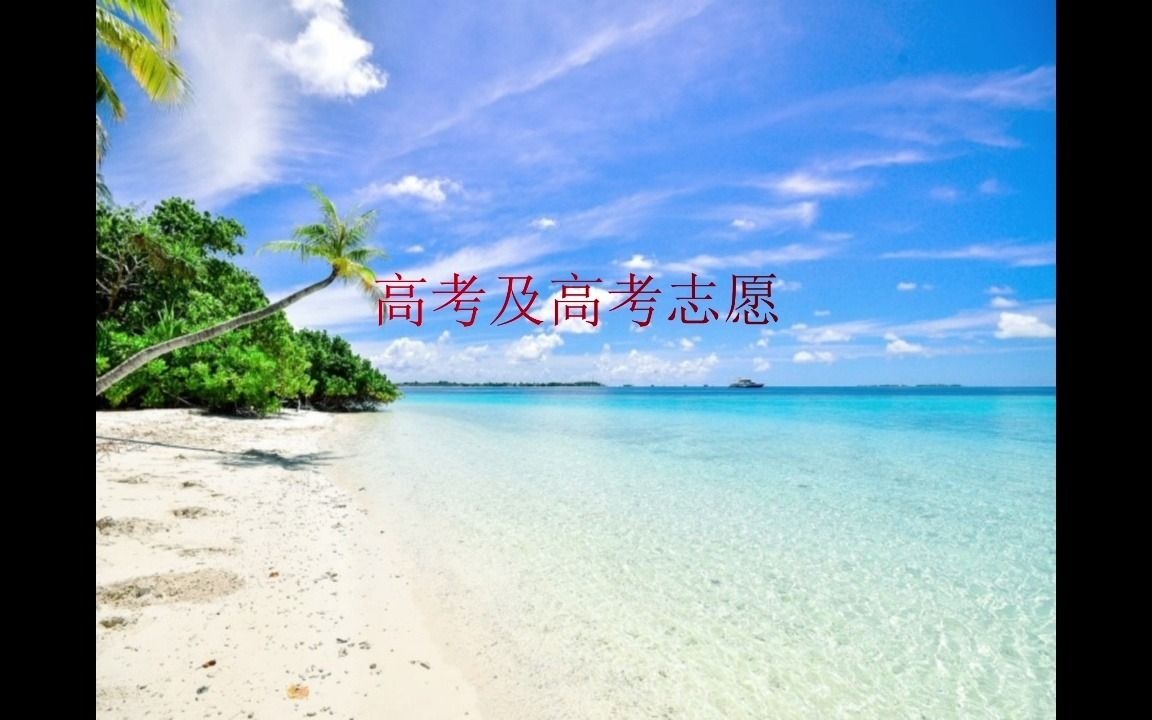 高考及高考志愿心得哔哩哔哩bilibili