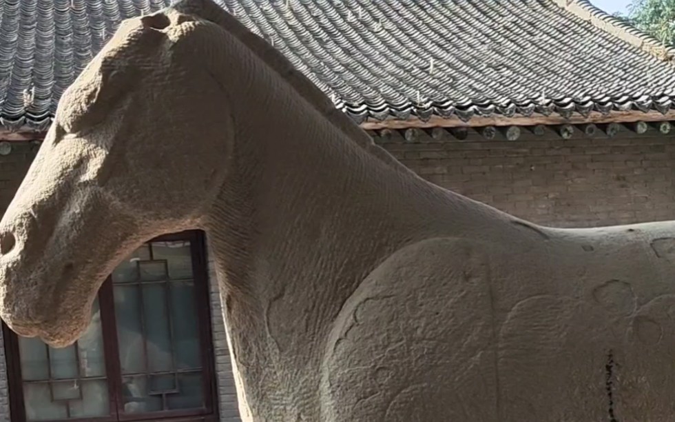 西安碑林博物馆馆藏大夏石马和景云钟