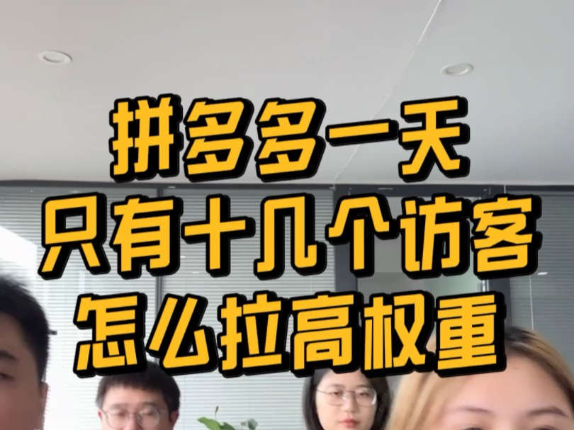 拼多多一天只有十几个访客,怎么拉高权重?哔哩哔哩bilibili