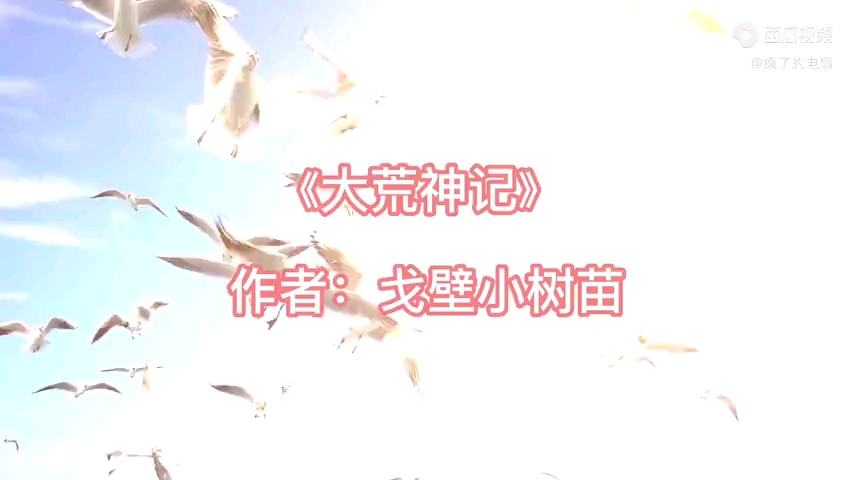 《大荒神记》 女主升级打怪热血爽文 无CP哔哩哔哩bilibili