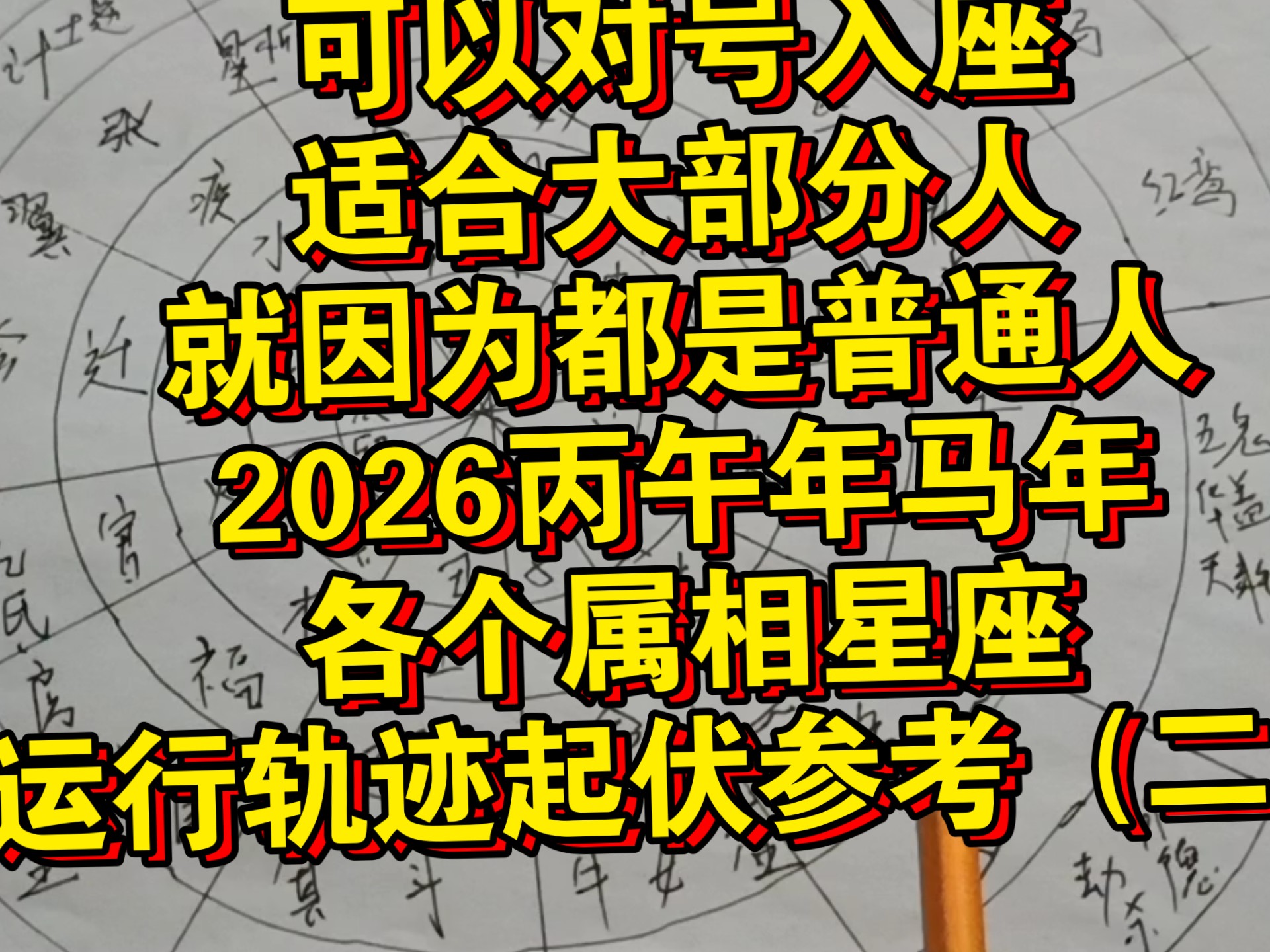生肖马今天晚上运势如何(生肖马今天晚上运势如何呢)