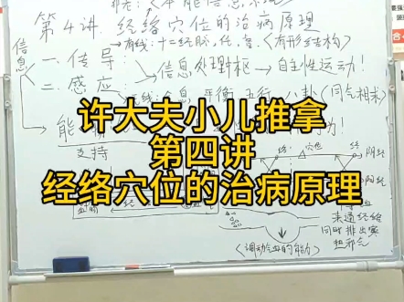 许大夫小儿推拿课,第四讲,经络穴位的治病原理(一),经络穴位学而不明者,理解此篇,少走N年弯路!哔哩哔哩bilibili