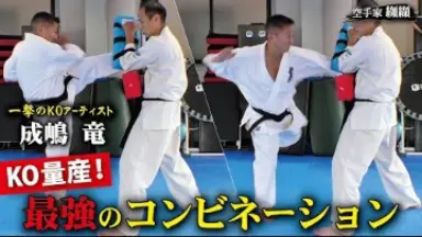 ♦︎新品DVD♦︎ 成嶋 竜 4本セット 一撃の竜 極真空手参考マニュアル Amazon.co.jp: ︎DVD︎ 成嶋 竜 4本セット 一撃の竜 極真空手