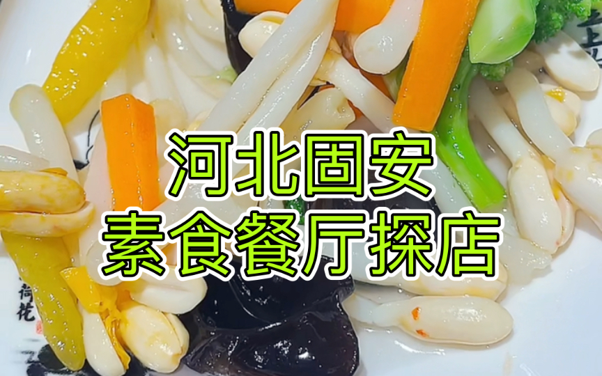 【美食探店】探访大河北固安的素食餐厅~哔哩哔哩bilibili