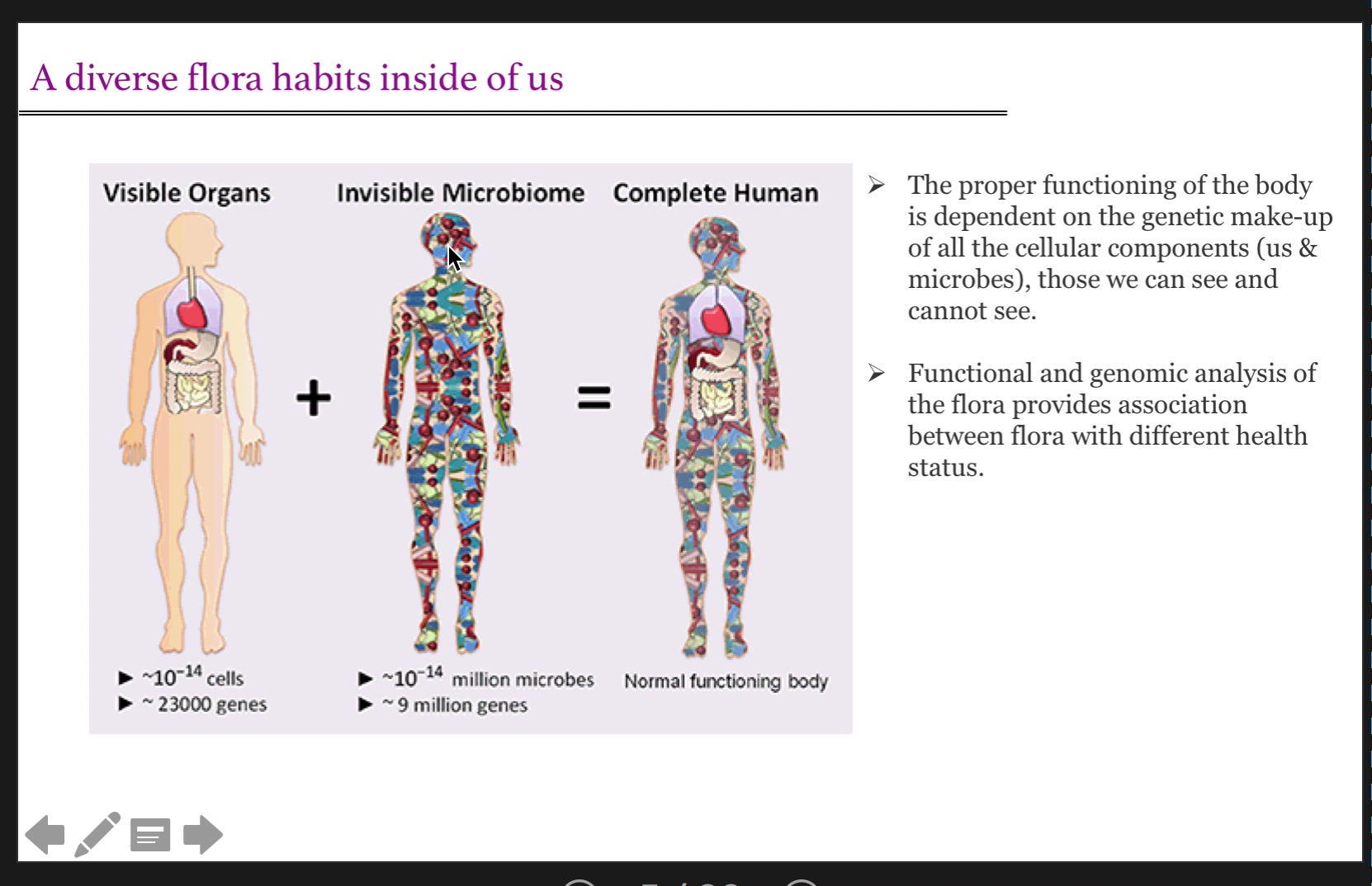 【刘志华】Intestinal epithelium  at the interface between microbes and host哔哩哔哩bilibili