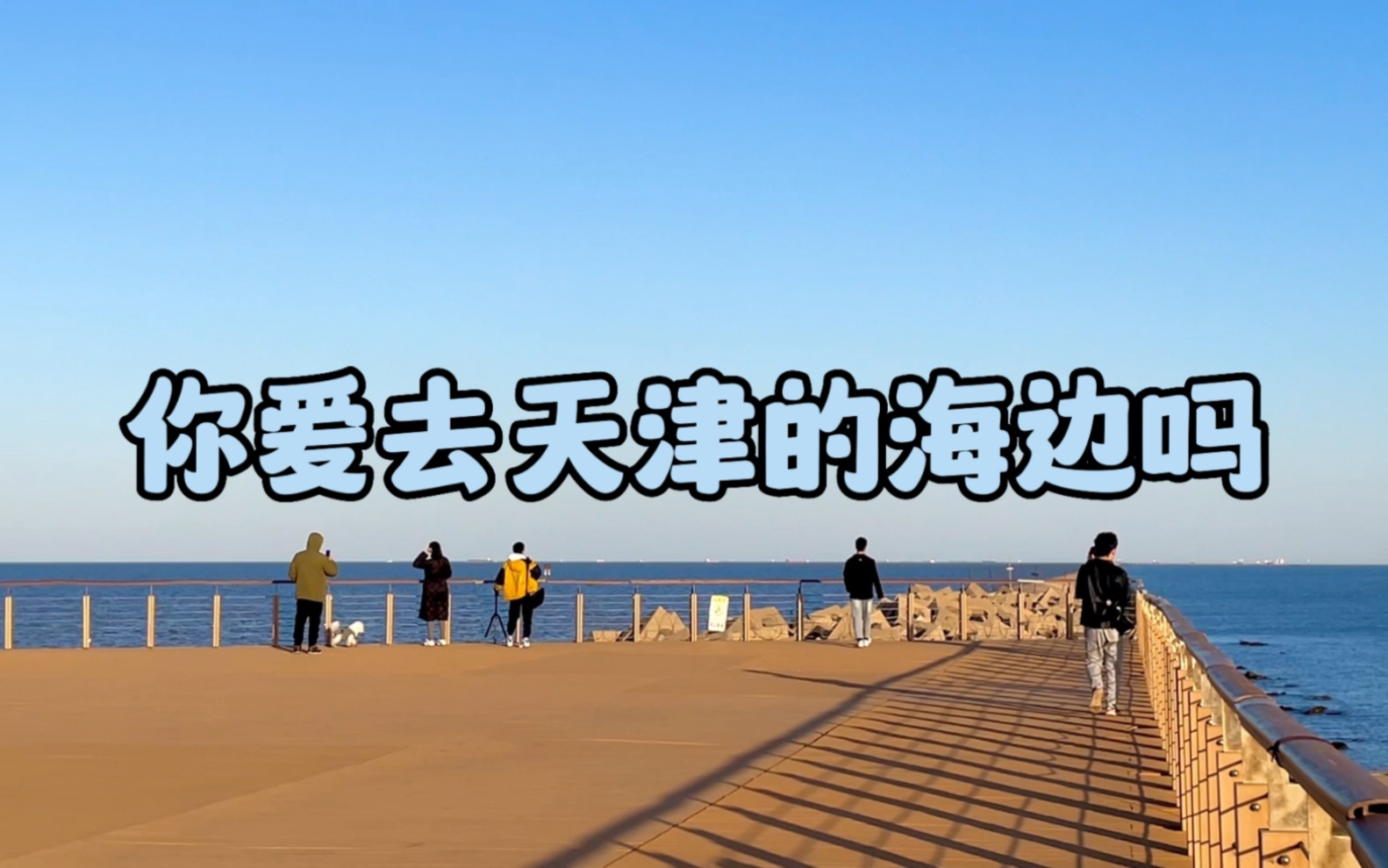 你喜欢天津的海吗哔哩哔哩bilibili