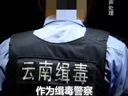 请记住这些不能露脸的英雄，他们用生命照亮黑暗，向每一位奋战在一线的缉毒警察，致敬！