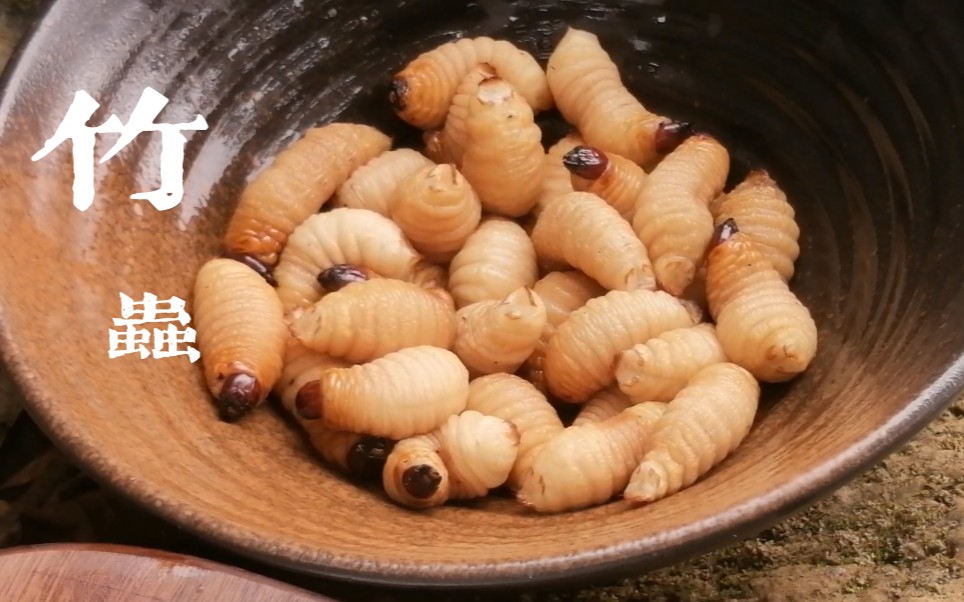 暗之美食:烤竹虫