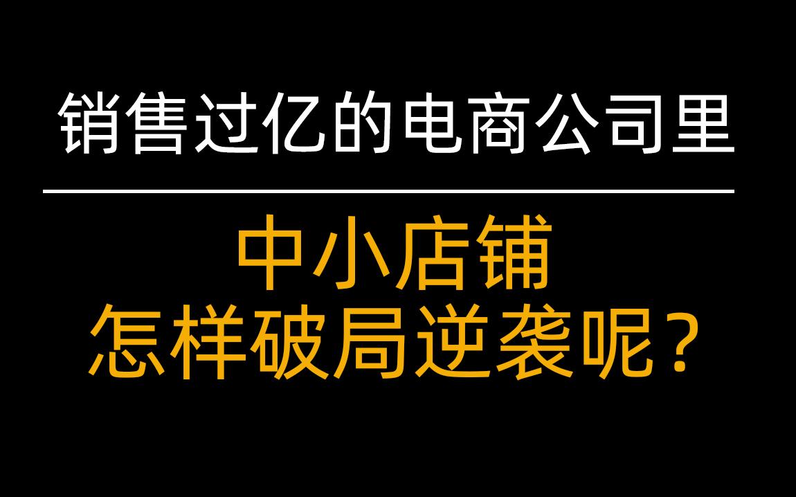 销售过亿的电商公司里,中小店铺怎么破局逆袭?哔哩哔哩bilibili