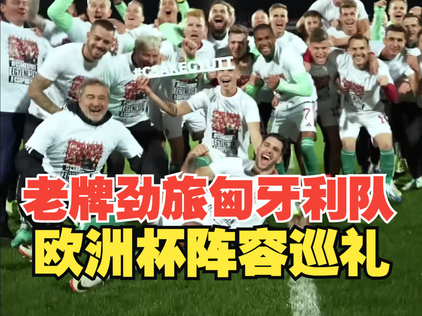 欧洲杯阵容巡礼之老牌劲旅匈牙利队