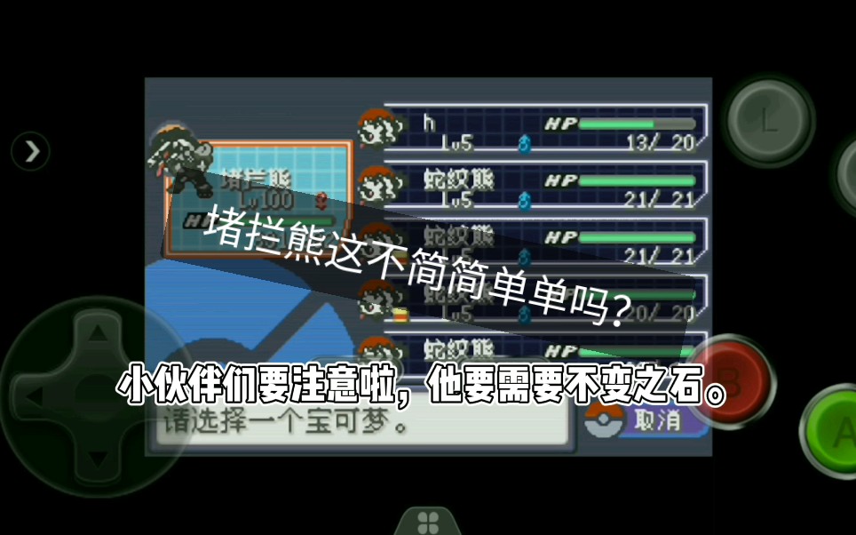 究极绿宝石如何获得完美堵拦熊!