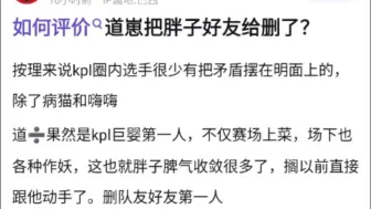 如何评价道崽把小胖好友删了，按理来说kpl圈内选手很少有把矛盾摆在明面上的，除了病猫和嗨嗨，k吧热议