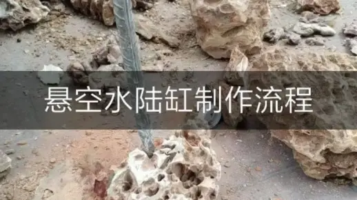 悬空水陆缸制作流程