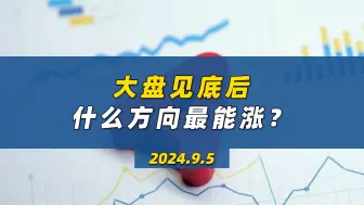 Download Video: 大盘见底后 什么方向最能涨？