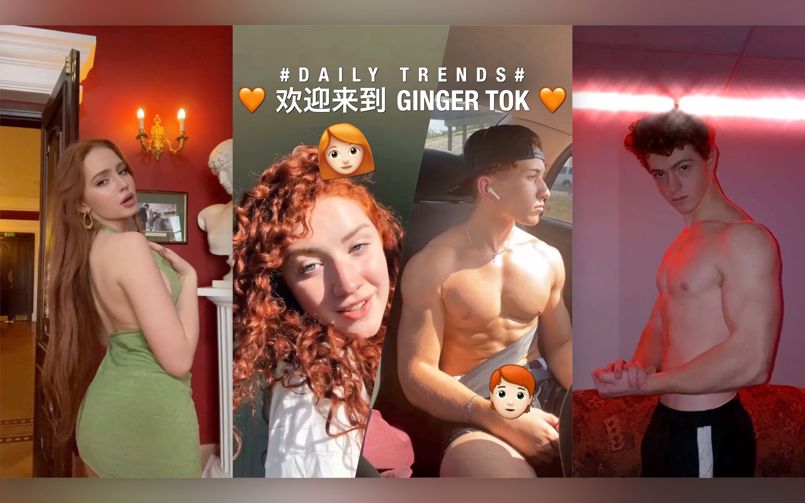 𐟧ᠮŠ欢迎来到 Ginger Tok 𐟧ᥓ”哩哔哩bilibili